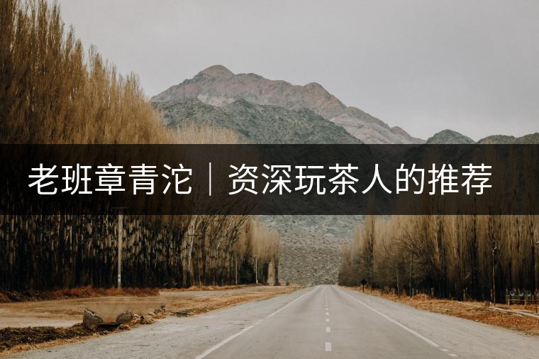 老班章青沱｜資深玩茶人的推薦，老班章專屬的老味道