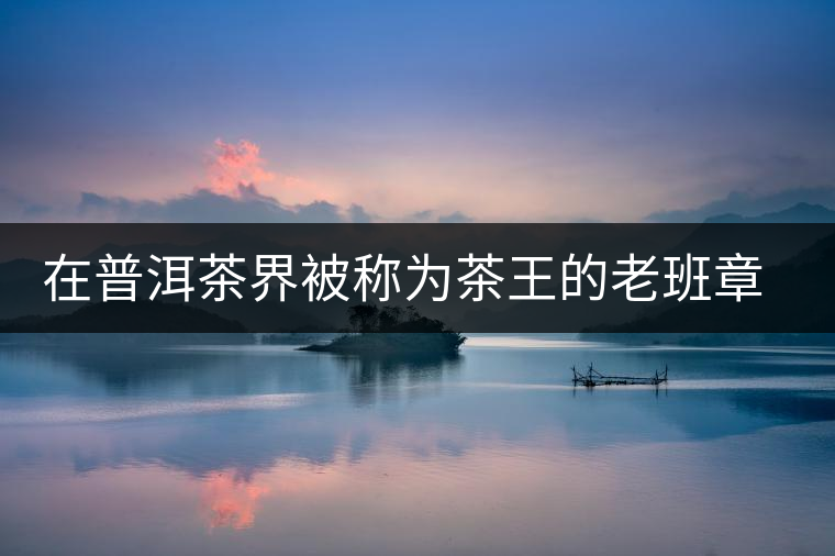 在普洱茶界被稱為茶王的老班章，為何有人愛(ài)有人恨？