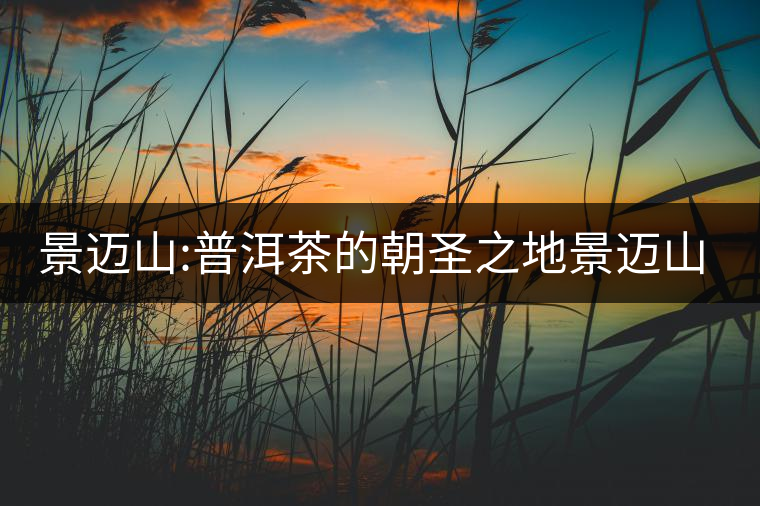 景邁山:普洱茶的朝圣之地景邁山：普洱茶的朝圣之地