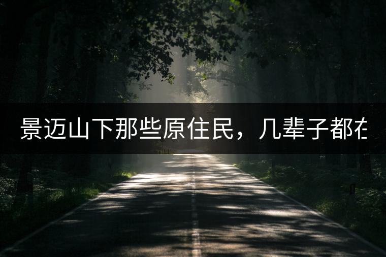 景邁山下那些原住民，幾輩子都在采茶、制茶，才有最...景邁山下那些原住民，幾輩子都在采茶、制茶，才有最好喝的普洱