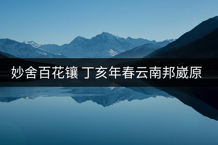 妙舍百花鑲 丁亥年春云南邦崴原生態(tài)古法曬青甘木古茶 妙舍百花鑲 丁亥年春云南邦崴原生態(tài)古法曬青甘木古茶