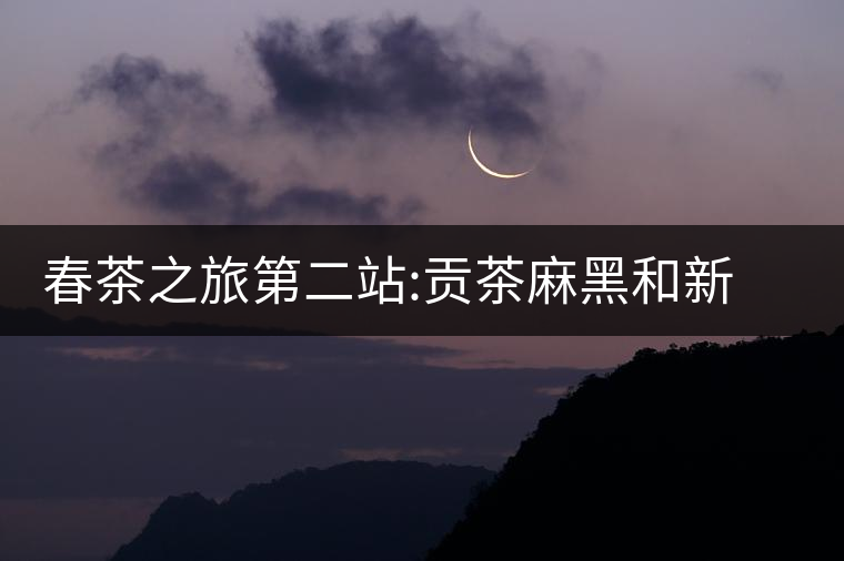 春茶之旅第二站:貢茶麻黑和新秀落水洞春茶之旅第二站:貢茶麻黑和新秀落水洞 春茶之旅第二站:貢茶麻黑和新秀落水洞春茶之旅第二站:貢茶麻黑和新秀落水洞