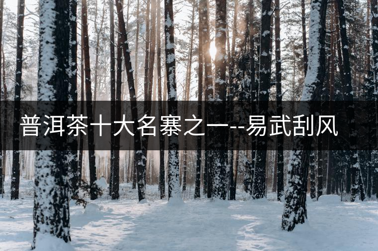 普洱茶十大名寨之一--易武刮風(fēng)寨普洱茶十大名寨之一——易武刮風(fēng)寨 普洱茶十大名寨之一--易武刮風(fēng)寨普洱茶十大名寨之一——易武刮風(fēng)寨