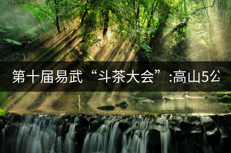 第十屆易武“斗茶大會”:高山5公斤15萬，刮風(fēng)寨5公斤...第十屆易武“斗茶大會”：高山5公斤15萬，刮風(fēng)寨5公斤30萬...