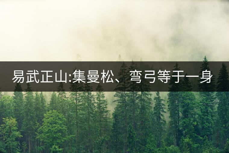 易武正山:集曼松、彎弓等于一身的貴族老黃片，好喝沒得...易武正山：集曼松、彎弓等于一身的貴族老黃片，好喝沒得說