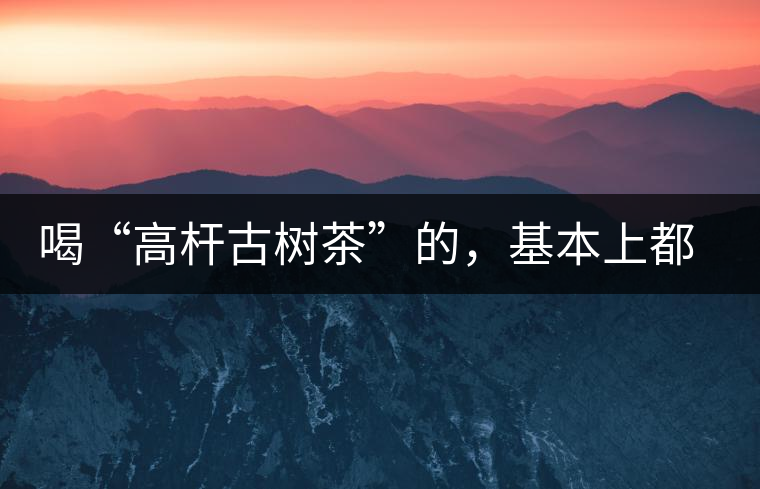 喝“高桿古樹茶”的，基本上都是不懂茶的