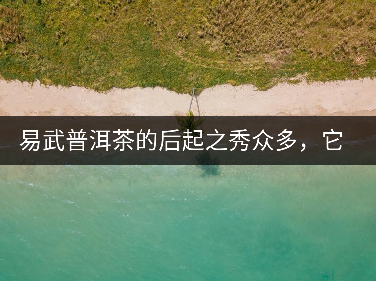 易武普洱茶的后起之秀眾多，它是還沒漲價(jià)的一個(gè)！