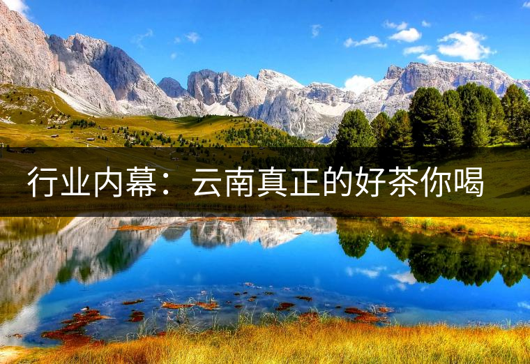 行業(yè)內(nèi)幕:云南真正的好茶你喝不到 行業(yè)內(nèi)幕:云南真正的好茶你喝不到