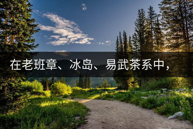 在老班章、冰島、易武茶系中，誰(shuí)的潛力最大？