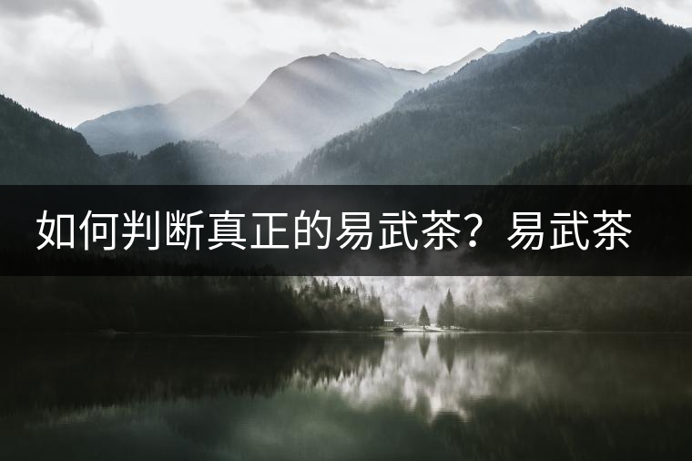 如何判斷真正的易武茶？易武茶有哪些特點(diǎn)？