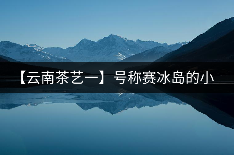 【云南茶藝一】號(hào)稱賽冰島的小戶賽憑什么！今天帶大家一起研究下