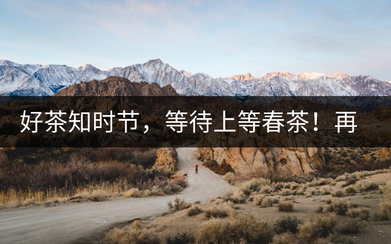 好茶知時(shí)節(jié)，等待上等春茶！再來回味這些年喝過的小戶賽古樹春茶