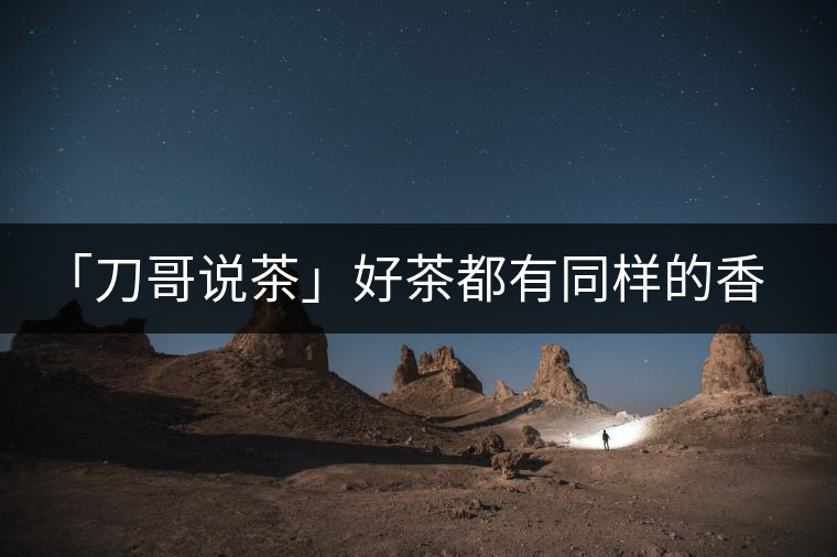 「刀哥說茶」好茶都有同樣的香，破茶卻有不同的味