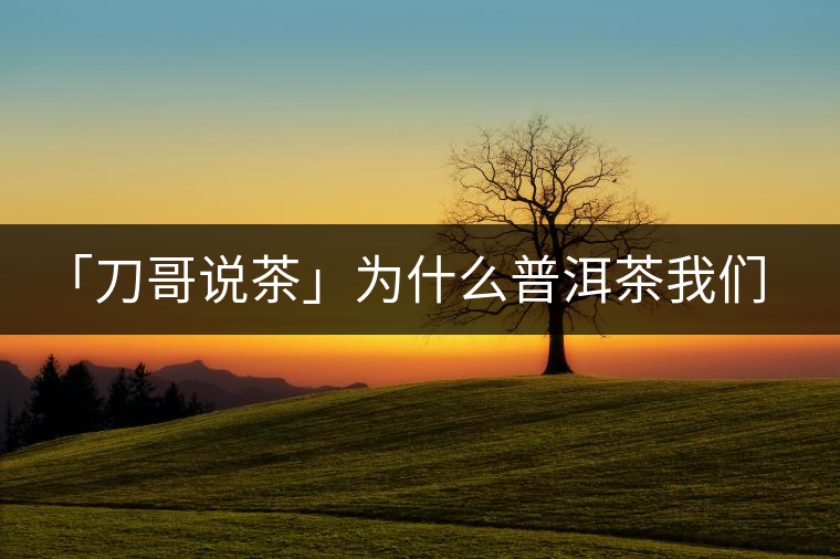 「刀哥說(shuō)茶」為什么普洱茶我們情愿選三無(wú)？
