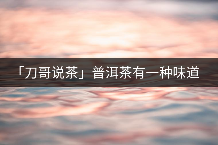 「刀哥說茶」普洱茶有一種味道，只可意會不可言傳