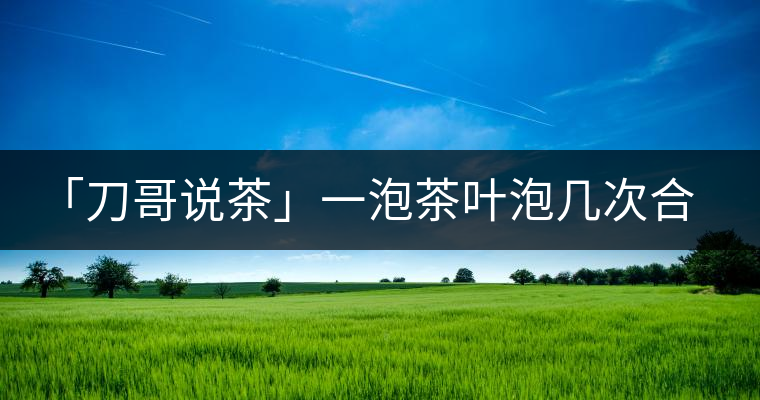 「刀哥說(shuō)茶」一泡茶葉泡幾次合適?「刀哥說(shuō)茶」一泡茶葉泡幾次合適？