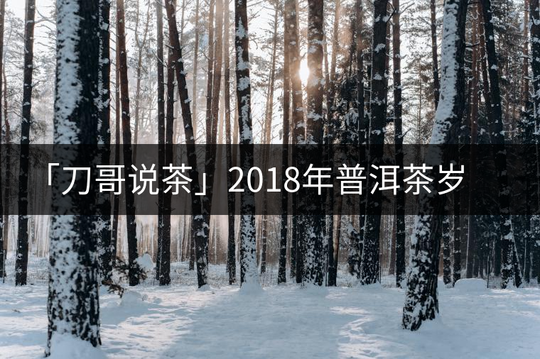 「刀哥說茶」2018年普洱茶歲末大盤點 「刀哥說茶」2018年普洱茶歲末大盤點