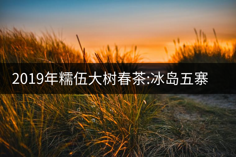 2019年糯伍大樹春茶:冰島五寨甜柔口感的代表，售價不...2019年糯伍大樹春茶：冰島五寨甜柔口感的代表，售價不到500