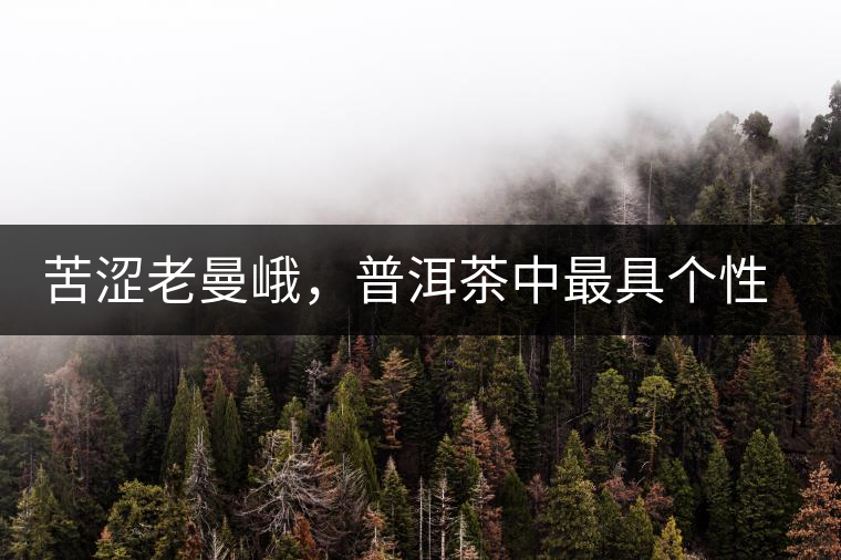 苦澀老曼峨，普洱茶中最具個性的“布朗味”苦澀老曼峨，普洱茶中最具個性的“布朗味”