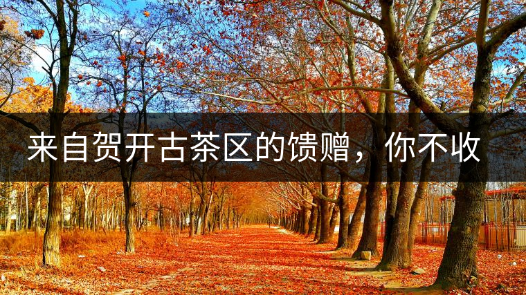 來自賀開古茶區(qū)的饋贈(zèng)，你不收一波嗎?來自賀開古茶區(qū)的饋贈(zèng)，你不收一波嗎？