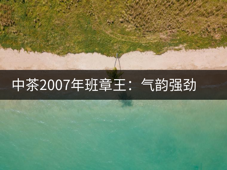 中茶2007年班章王：氣韻強勁，蜂蜜水般甜潤，一直被老茶客撿漏