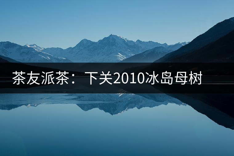 茶友派茶：下關(guān)2010冰島母樹，挺甜的，母樹是個什么概念？