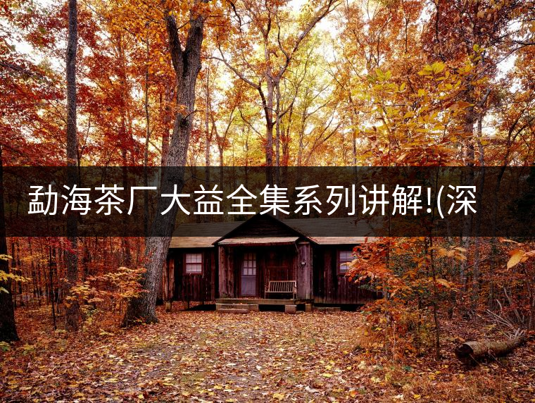 勐海茶廠大益全集系列講解!(深度講解大益茶品，建議收藏...勐海茶廠大益全集系列講解?。ㄉ疃戎v解大益茶品，建議收藏）