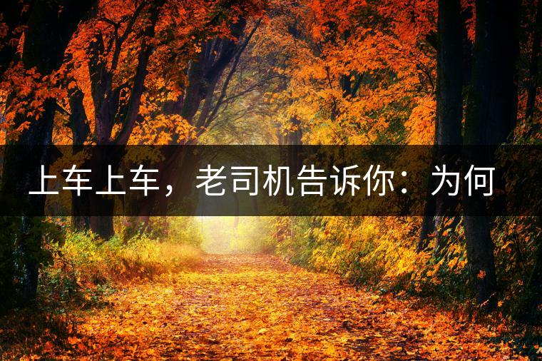 上車上車，老司機告訴你：為何明前茶貴如金