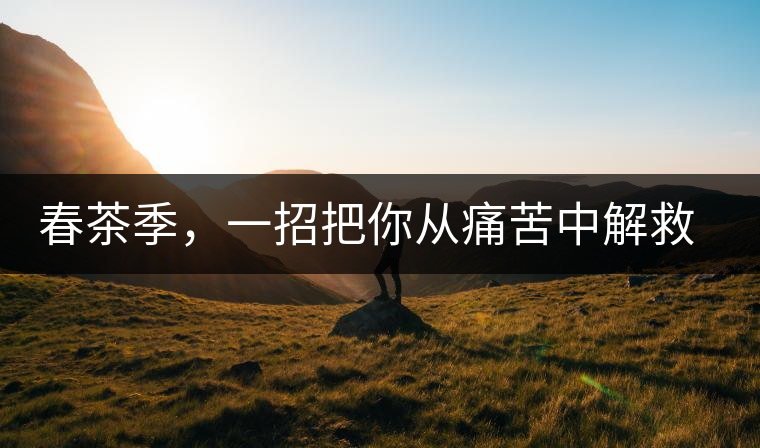 春茶季，一招把你從痛苦中解救出來