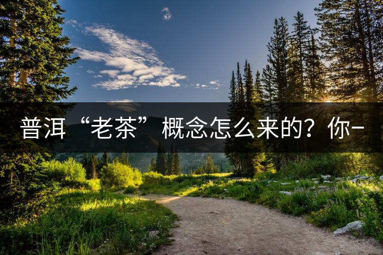 普洱“老茶”概念怎么來的？你一定想不到！