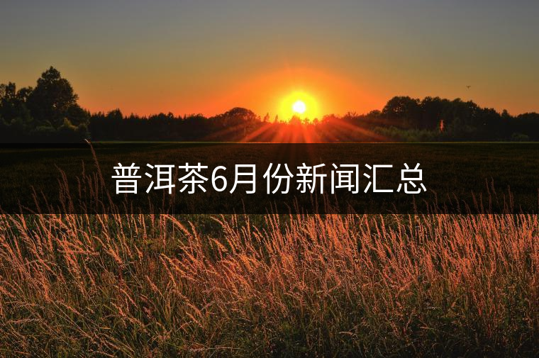 普洱茶6月份新聞匯總 普洱茶6月份新聞匯總