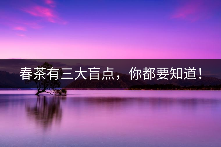 春茶有三大盲點，你都要知道！