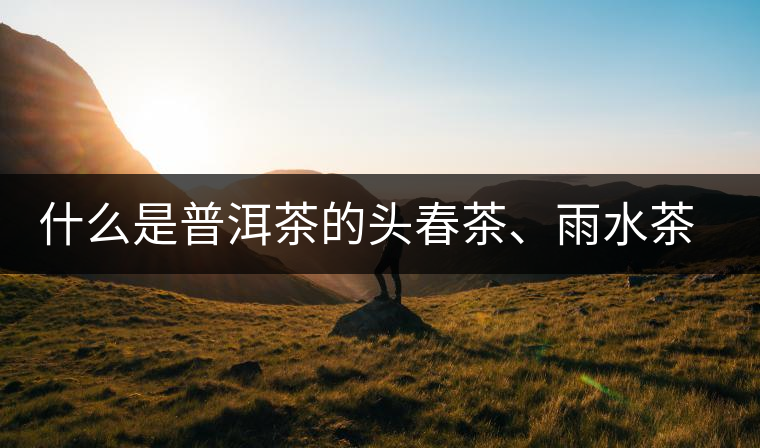 什么是普洱茶的頭春茶、雨水茶和谷花茶，怎樣區(qū)別？