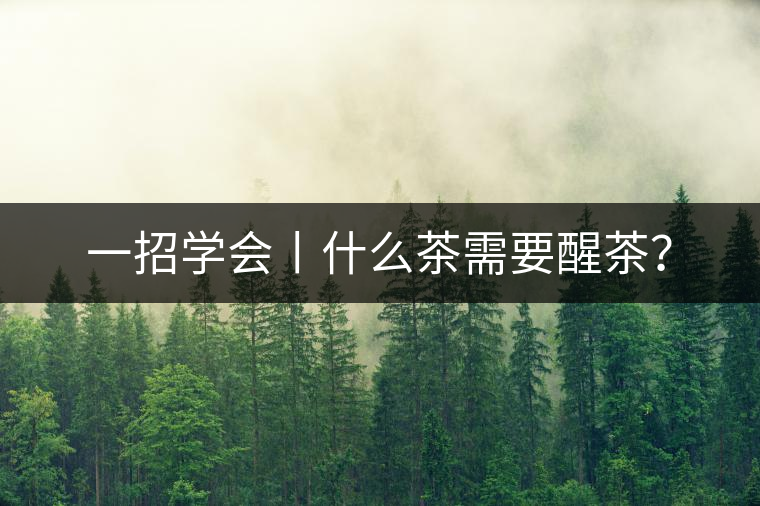 一招學(xué)會(huì)丨什么茶需要醒茶？