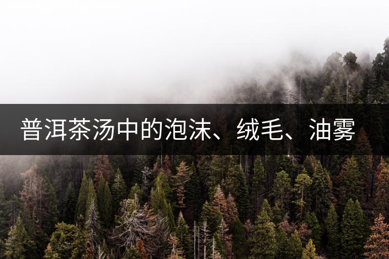 普洱茶湯中的泡沫、絨毛、油霧、絮狀物……原來是這些東西！