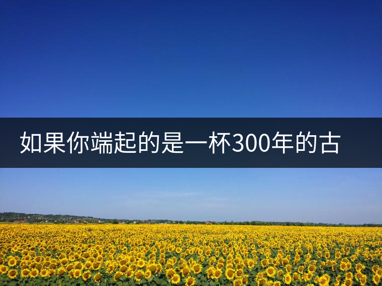 如果你端起的是一杯300年的古樹茶，那會是一種怎樣的心境？