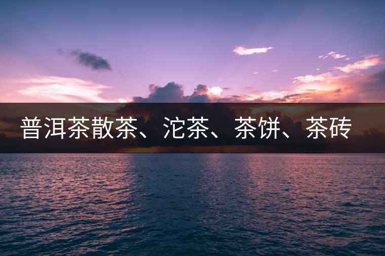 普洱茶散茶、沱茶、茶餅、茶磚哪種更好？