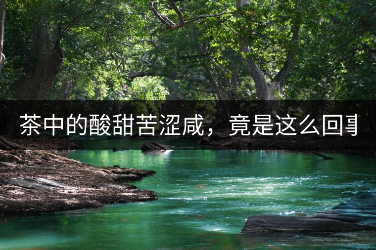 茶中的酸甜苦澀咸，竟是這么回事！