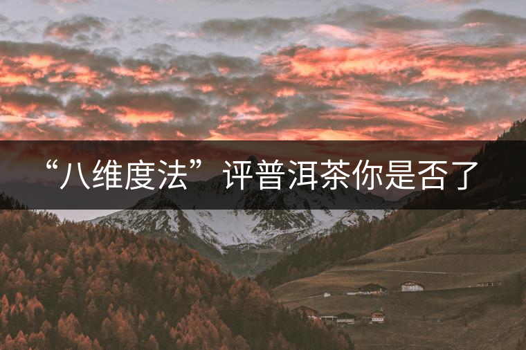“八維度法”評普洱茶你是否了解！
