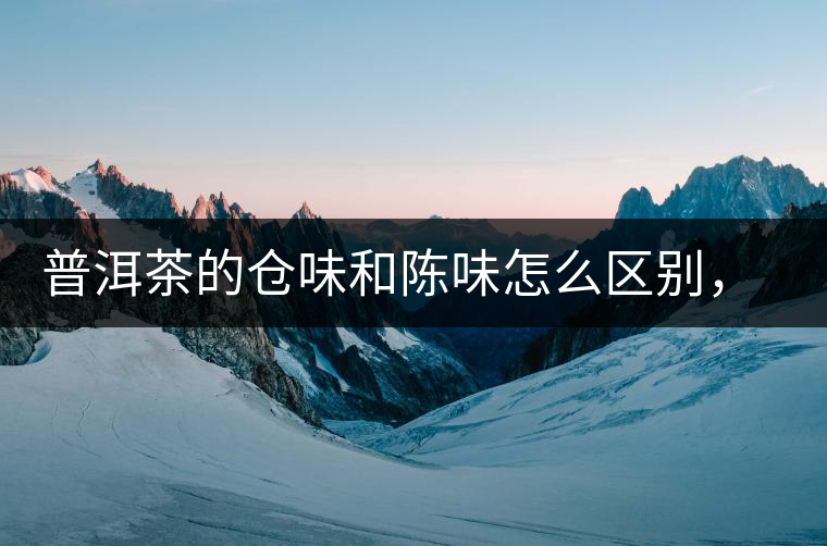 普洱茶的倉味和陳味怎么區(qū)別，如何避免？