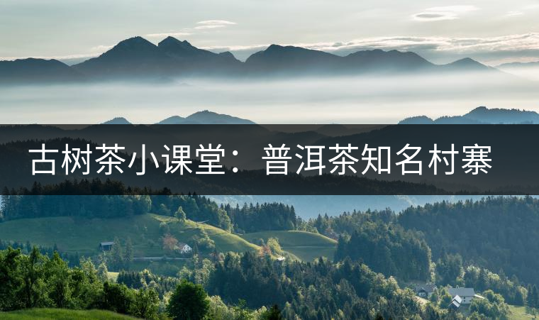 古樹茶小課堂：普洱茶知名村寨的生態(tài)環(huán)境如何？