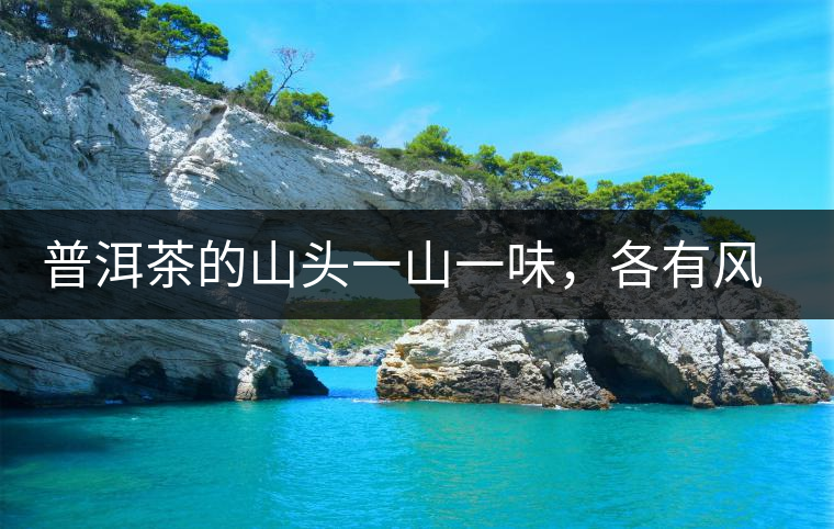 普洱茶的山頭一山一味，各有風(fēng)格