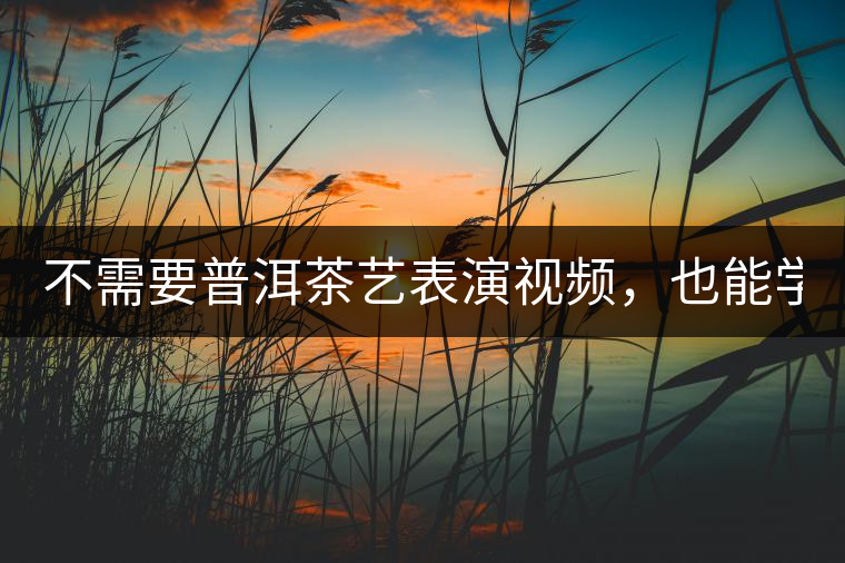 不需要普洱茶藝表演視頻，也能學(xué)會的茶藝！