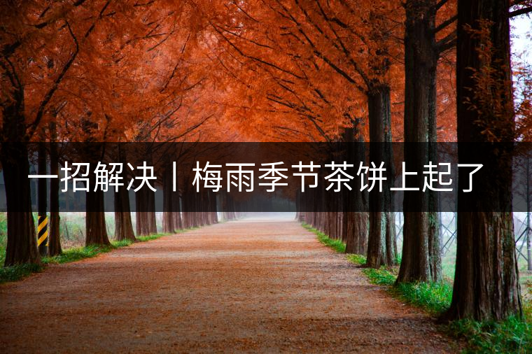 一招解決丨梅雨季節(jié)茶餅上起了白霜白點(diǎn)怎么辦？