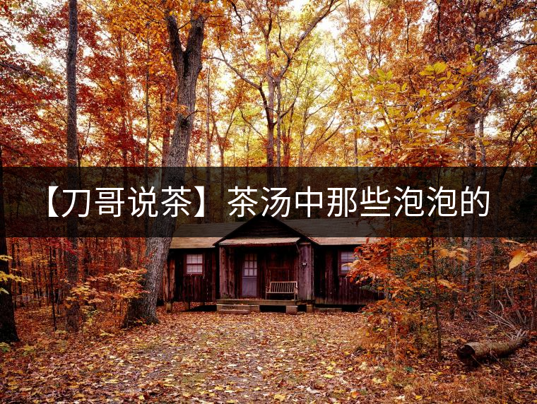 【刀哥說(shuō)茶】茶湯中那些泡泡的始作俑者，茶皂素只是其中一個(gè)