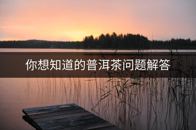 你想知道的普洱茶問題解答 你想知道的普洱茶問題解答
