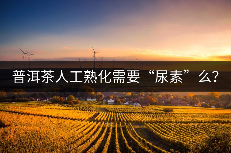 普洱茶人工熟化需要“尿素”么？