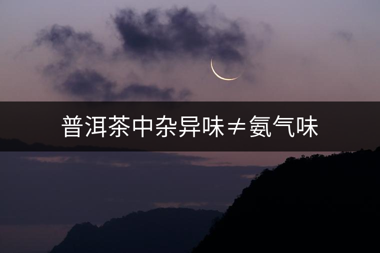 普洱茶中雜異味≠氨氣味 普洱茶中雜異味≠氨氣味