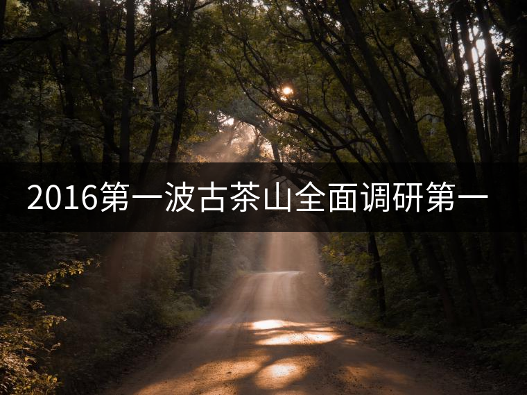 2016第一波古茶山全面調(diào)研第一站——易武 2016第一波古茶山全面調(diào)研第一站——易武