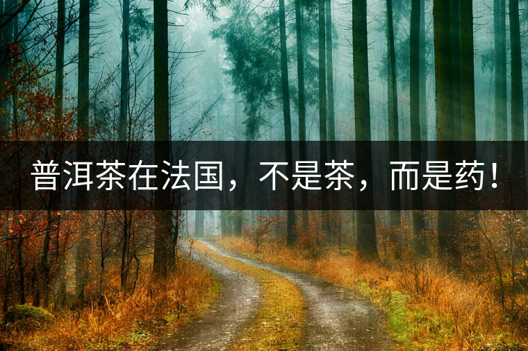 普洱茶在法國，不是茶，而是藥！